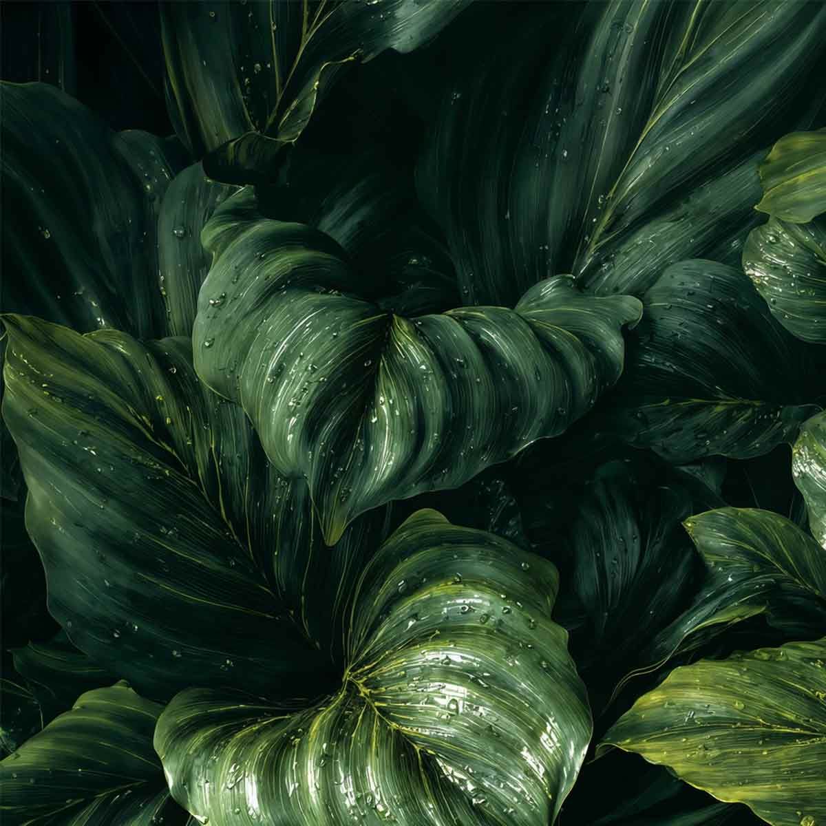 Wandpaneel Calathea XL grun matt Niederkassel